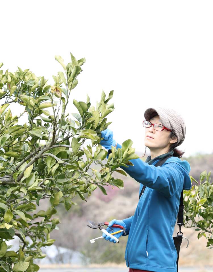 The Craft 50度 54度58度　3本セット Mizunoクラフトウェッジ 50度 54度 58度 3本セット 3本セット ミズノ